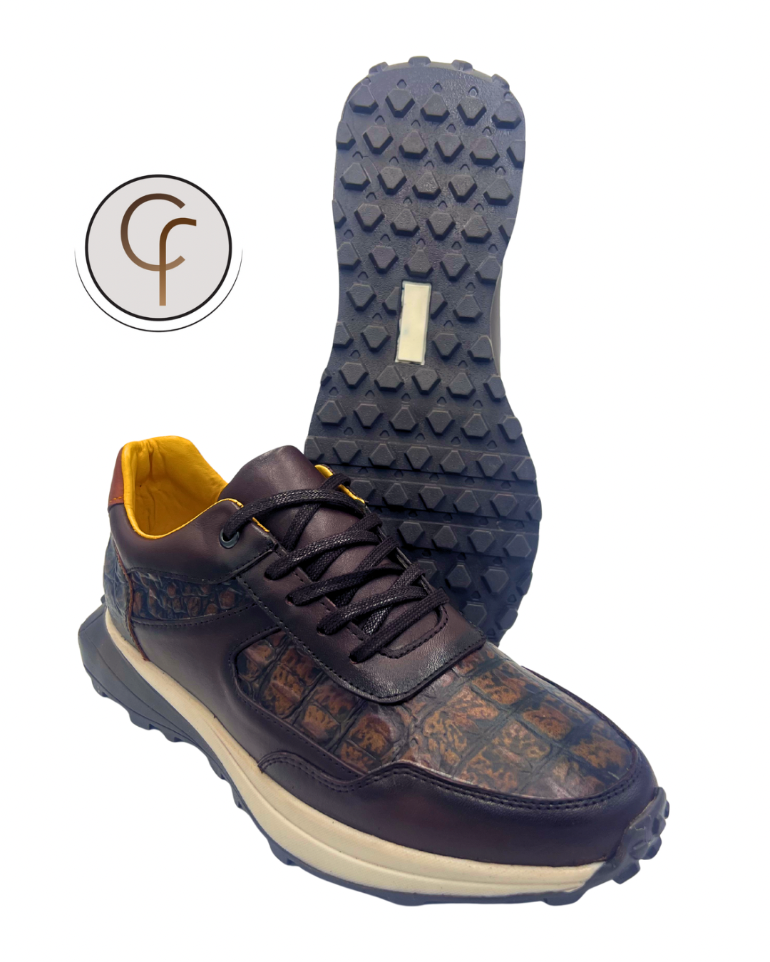 Sneaker Gardel en grabado coco