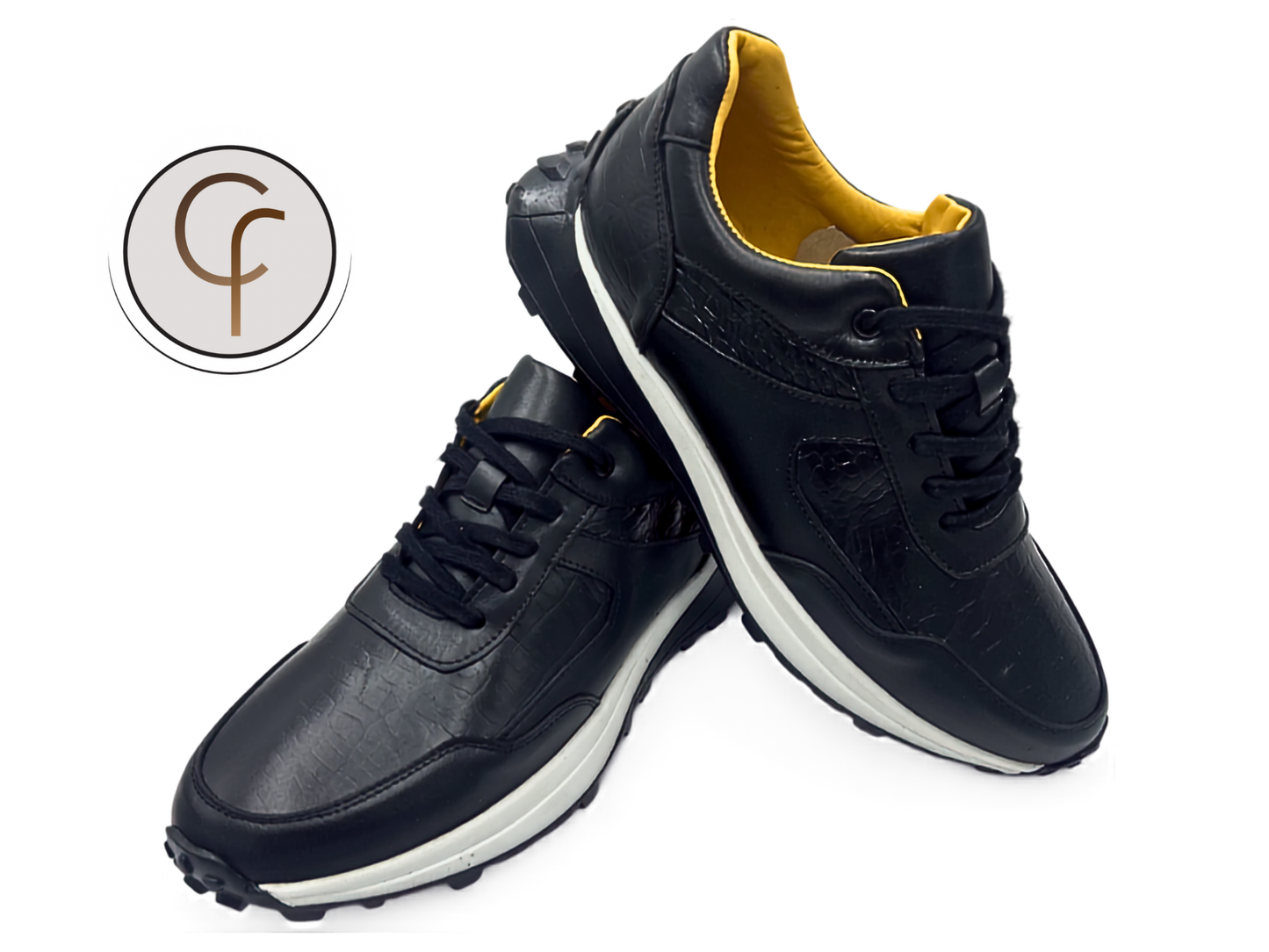 Sneaker Gardel en grabado coco